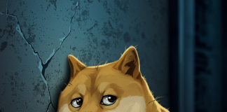 Dogecoin Demand Slumps—Practically 70% Drop In Open Curiosity Raises Issues