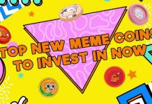 5 Finest New Meme Cash with 100x Potential: This P2E Gaming Ecosystem Presents the Good Fusion of Enjoyable and Revenue