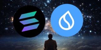 Subsequent Potential Gainers: How Solana and SUI Are Positioned for a Main Surge