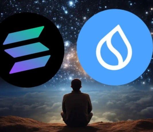 Subsequent Potential Gainers: How Solana and SUI Are Positioned for a Main Surge