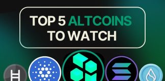 High 5 Altcoins to Watch: BlockBoost ($BBT), Sui, Cardano, Hedera, Solana