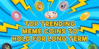 Three Important Cash For the Bull Run: Buyers are All-In for These Greatest New Meme Cash to Be a part of This Week