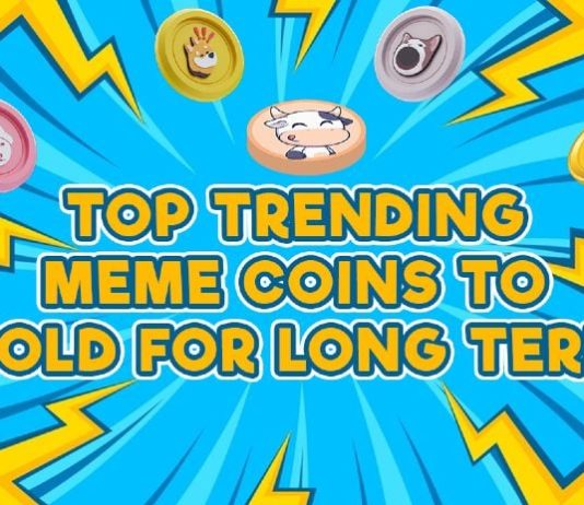 Three Important Cash For the Bull Run: Buyers are All-In for These Greatest New Meme Cash to Be a part of This Week