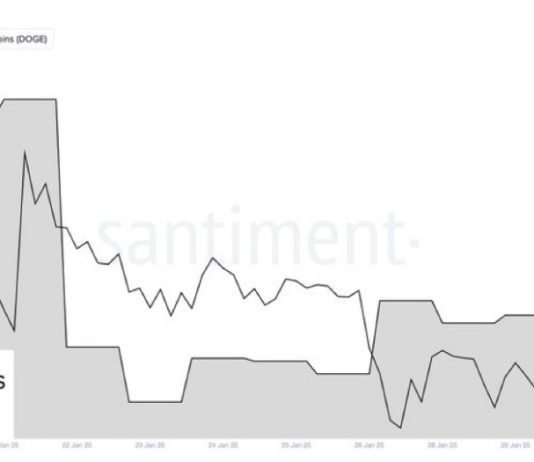 Dogecoin Whales Go Ham As They Purchase 560 Million DOGE In One Week