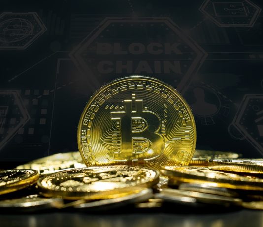 5 Meme Cash to 100x Your Funding as Bitcoin’s Historic Achievement Fuels Subsequent Bull Run