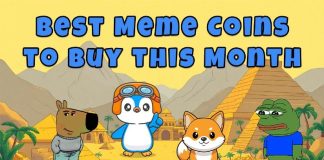 High Meme Cash to Purchase This 12 months: Uncover the four Greatest Picks for Huge Returns in 2025