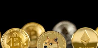 Double Backside Sample Suggests Dogecoin Could Lead Crypto Market Beneficial properties This Month Double Backside Sample Suggests Dogecoin Could Lead Crypto Market Beneficial properties This Month