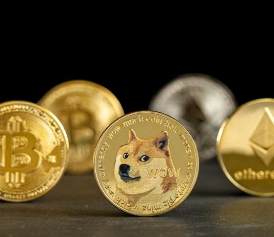 Double Backside Sample Suggests Dogecoin Could Lead Crypto Market Beneficial properties This Month