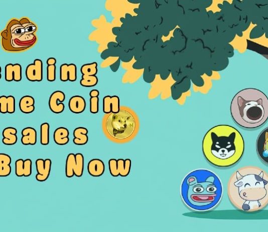 Four Should-Have Cryptos to Bag in 2025: Crypto Gurus Are Piling into Prime Meme Coin Presales to Purchase This Week!