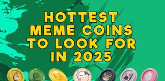 The three Finest New Meme Cash to Purchase This Month That includes a Referral Program That Provides a Probability to Earn Huge on Passive Earnings
