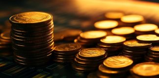 Finest Crypto Buys for February 2025 – Explosive Positive aspects Forward