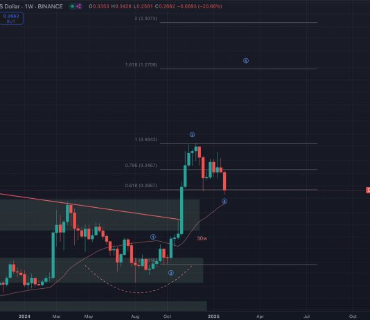 Dogecoin Crashes 40%, However This Analyst Sees A Bullish Setup
