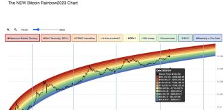 After The Bitcoin Crash: Will It Rise Or Drop Once more? 5 Key Indicators