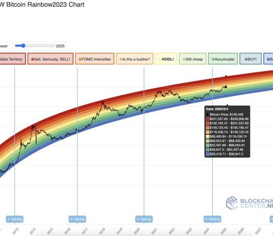 After The Bitcoin Crash: Will It Rise Or Drop Once more? 5 Key Indicators