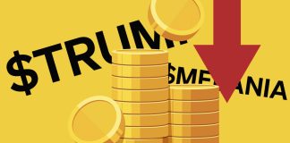 Trump Meme Coin Faces Criticism, However Cathie Wooden Sees A Daring Future