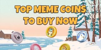 four Greatest Meme Cash to Purchase Now: Don’t Miss Out on These Scorching Picks with Excessive Potential