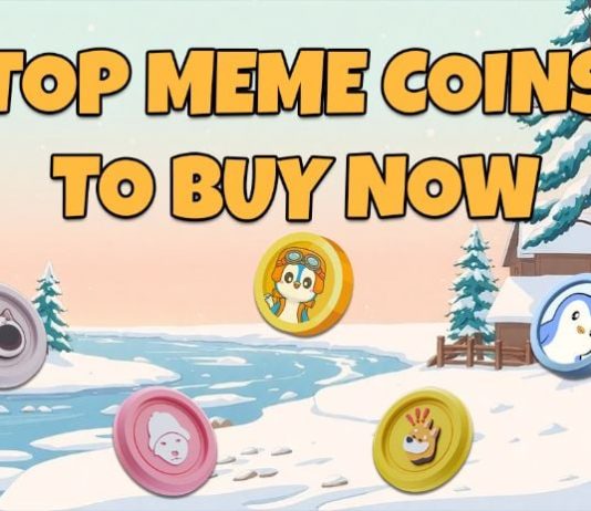 four Greatest Meme Cash to Purchase Now: Don’t Miss Out on These Scorching Picks with Excessive Potential