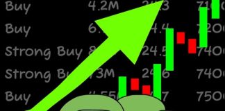 Wall Avenue Pepe Presale Smashes $69M – Subsequent 100x Meme Coin?