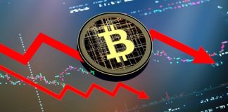 Crypto Crash or Alternative? Why Specialists Say ‘Purchase the Dip’