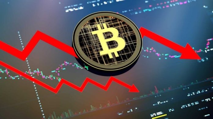 Crypto Crash or Alternative? Why Specialists Say ‘Purchase the Dip’