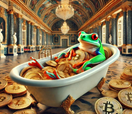 The Wealthy Guess Large on Bitcoin – Will the Market Manifest a Bull Run for High Meme Cash?