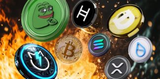 Greatest Crypto to Make investments In | High eight Cryptos to Put money into Now