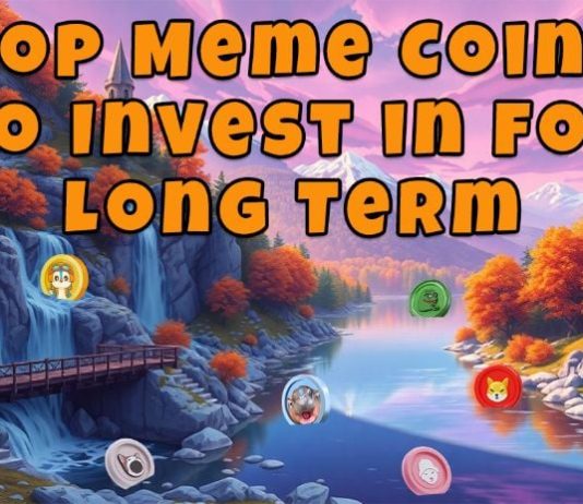 5 Greatest Cryptos for Rookies: Hottest Cash to Purchase Now Earlier than the Subsequent Bull Run!