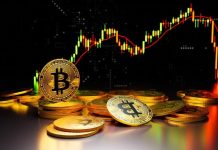 Greatest Crypto to Purchase Now – four High Picks for the Subsequent Bull Run