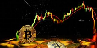 Greatest Crypto to Purchase Now – four High Picks for the Subsequent Bull Run