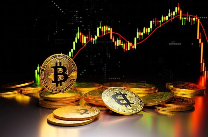 Greatest Crypto to Purchase Now – four High Picks for the Subsequent Bull Run