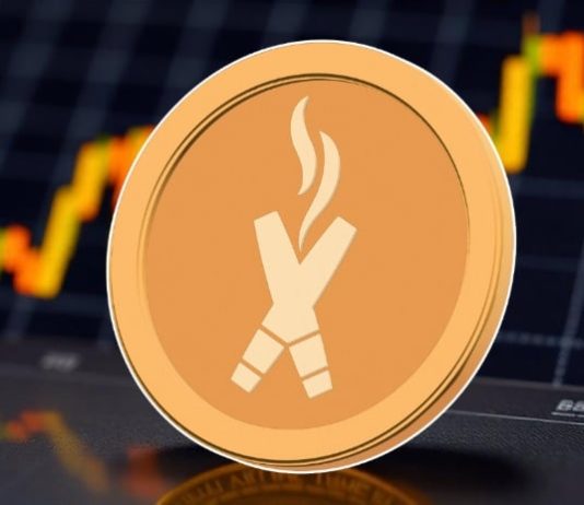 MicroStrategy Rebrands With a Bitcoin Brand. These 5 Hidden Gems Might Ship a Thoughts-Blowing 500x ROI!