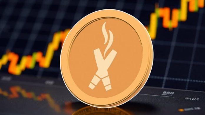 MicroStrategy Rebrands With a Bitcoin Brand. These 5 Hidden Gems Might Ship a Thoughts-Blowing 500x ROI!