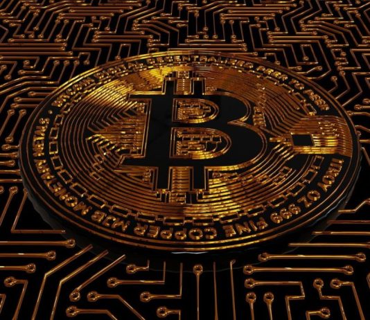 5 Presales to Make Loopy Features in 2025 as Bitcoin Appears to be like to Breakout