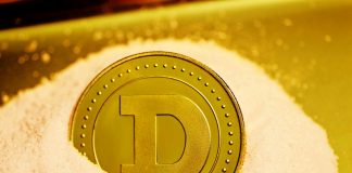 Dogecoin Beneficial properties Momentum: A Potential Upside Transfer Towards $0.2677 Looming Dogecoin Beneficial properties Momentum: A Potential Upside Transfer Towards $0.2677 Looming