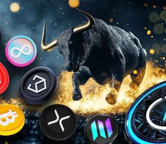 Crypto Cash to Moon | Prime eight Cryptocurrencies That Might Fly this Bull Run Crypto Cash to Moon | Prime eight Cryptocurrencies That Might Fly this Bull Run