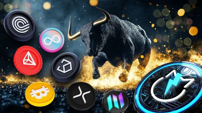 Crypto Cash to Moon | Prime eight Cryptocurrencies That Might Fly this Bull Run