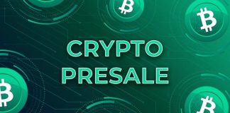 Subsequent Huge Crypto Presale: Why This Altcoin May 100x Sooner Than You Assume