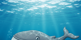 Solana Jumps 9% As Whales Quietly Accumulate Thousands and thousands—Particulars