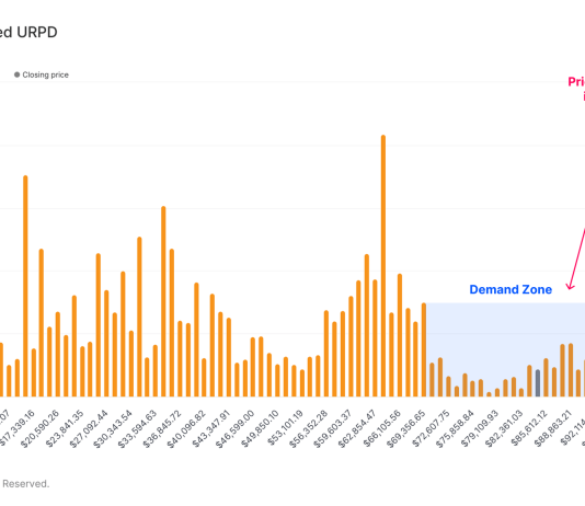 This Bitcoin Value Vary May Be The Bulls’ Last Protection Line, Report Says