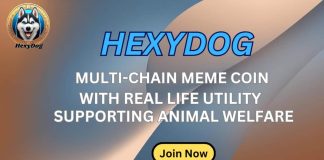HexyDog Crypto Presale Proclaims Groundbreaking Crypto Integration and Key Partnerships to Remodel Pet Retailers