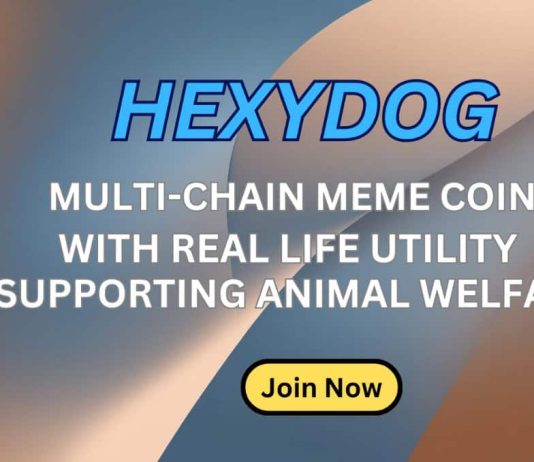 HexyDog Crypto Presale Proclaims Groundbreaking Crypto Integration and Key Partnerships to Remodel Pet Retailers
