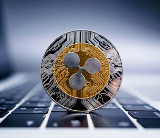Will XRP Hit $27? Historic Knowledge Suggests One other 718% Value Surge Will XRP Hit $27? Historic Knowledge Suggests One other 718% Value Surge