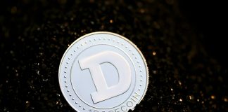 Dogecoin Value Turns Bullish With 1-Day RSI In Oversold Area, Why DOGE Can Attain $0.9