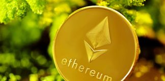Ethereum, Dogecoin, And The Altcoin Market: Why Up-Solely For 217 Days Is Attainable