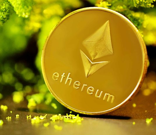 Ethereum, Dogecoin, And The Altcoin Market: Why Up-Solely For 217 Days Is Attainable