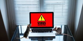 New Trojan Malware StilachiRAT Targets Crypto Browser Wallets, Microsoft Warns