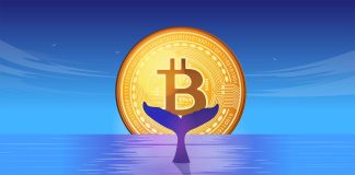 1 Million Bitcoin In New Whale Arms—A Mega BTC Rally On The Horizon?