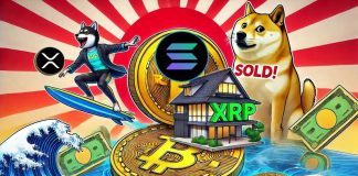 Actual Property Big Open Home Expands Crypto Funds to XRP, SOL, and DOGE