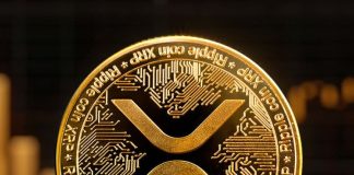 Analyst Predicts XRP To Surge To $9-$10 – Right here’s Why