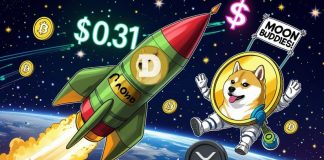 Dogecoin Value Prediction: DOGE Targets $0.31 Resistance Amid Bullish XRP Information Dogecoin Value Prediction: DOGE Targets $0.31 Resistance Amid Bullish XRP Information